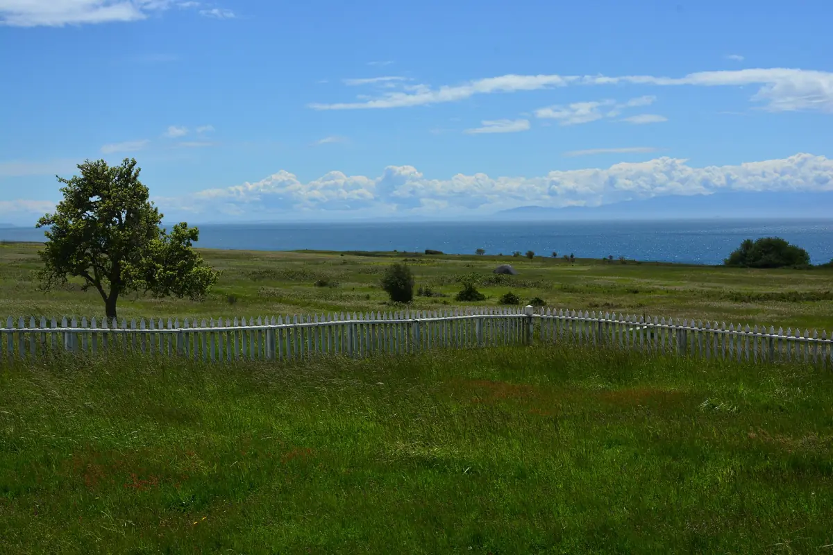 The prairie at American Camp on San Juan Island