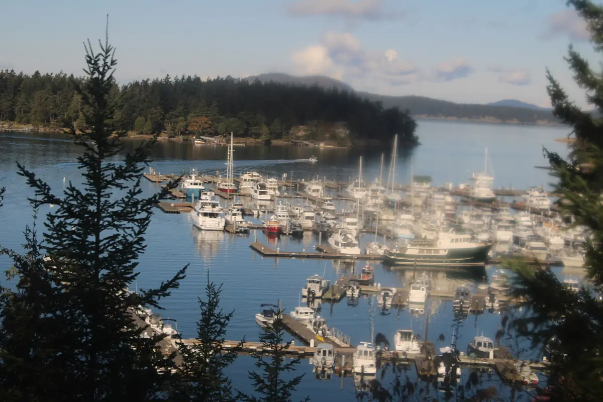 Boats in the marina at Roche Harbor