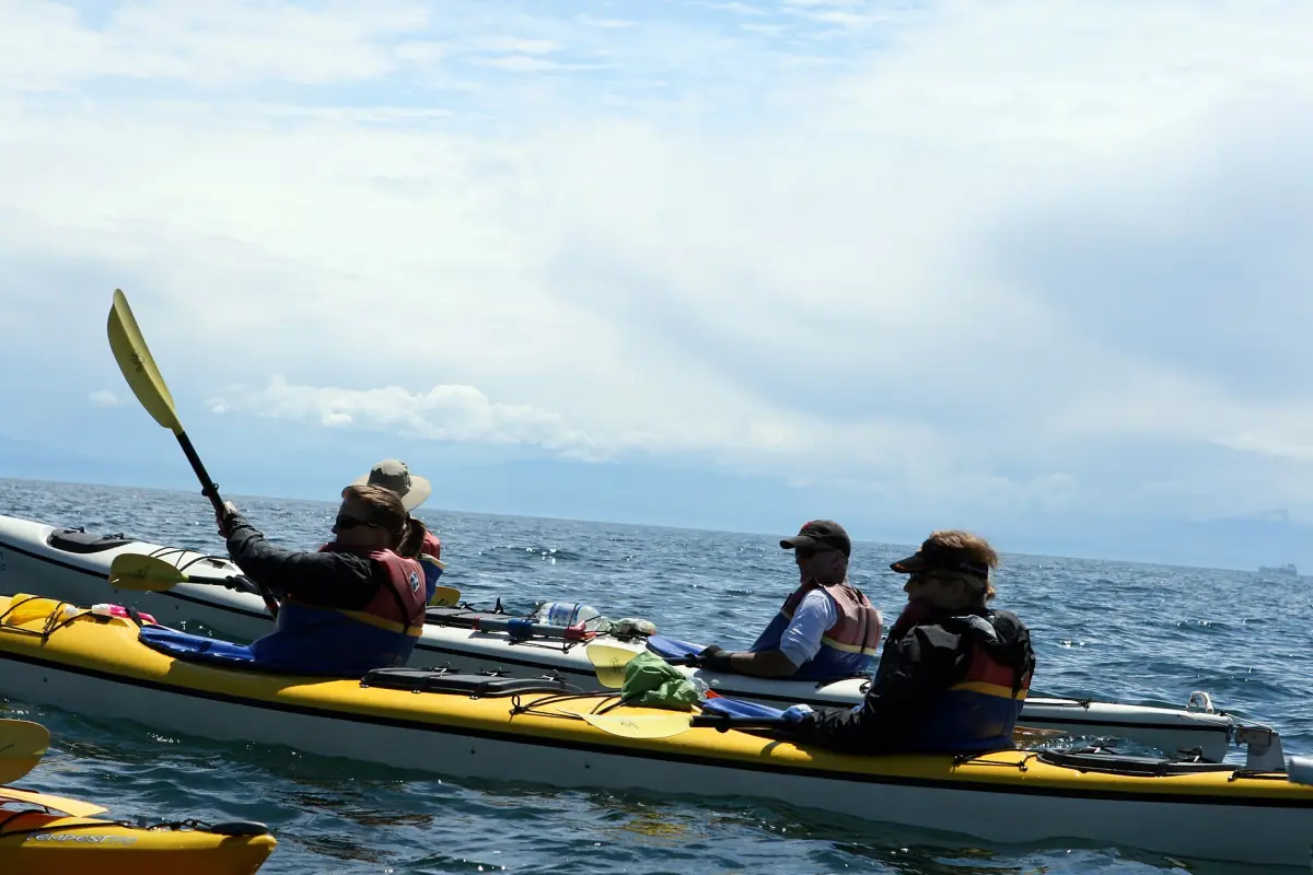 Sea kayakers in the waters off San Juan Island